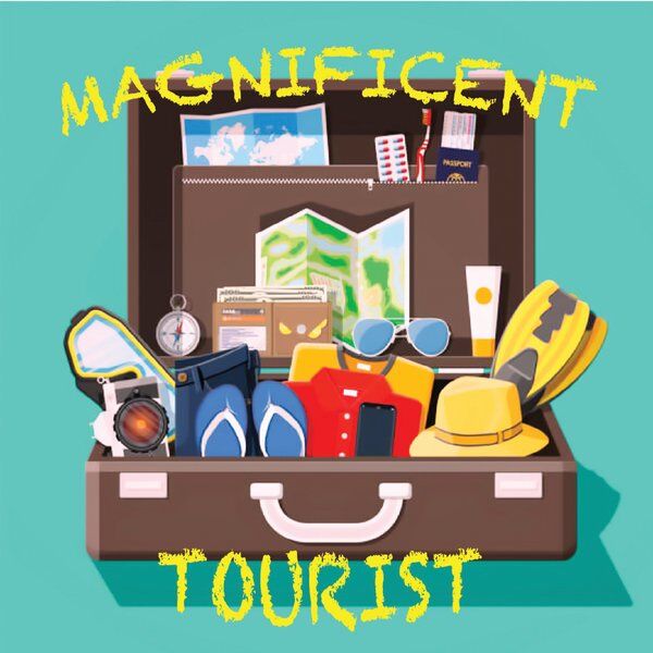 Cover art for Magnificent Tourist